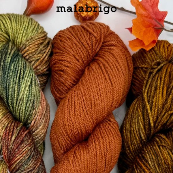 Malabrigo Rios yarn in fall colors