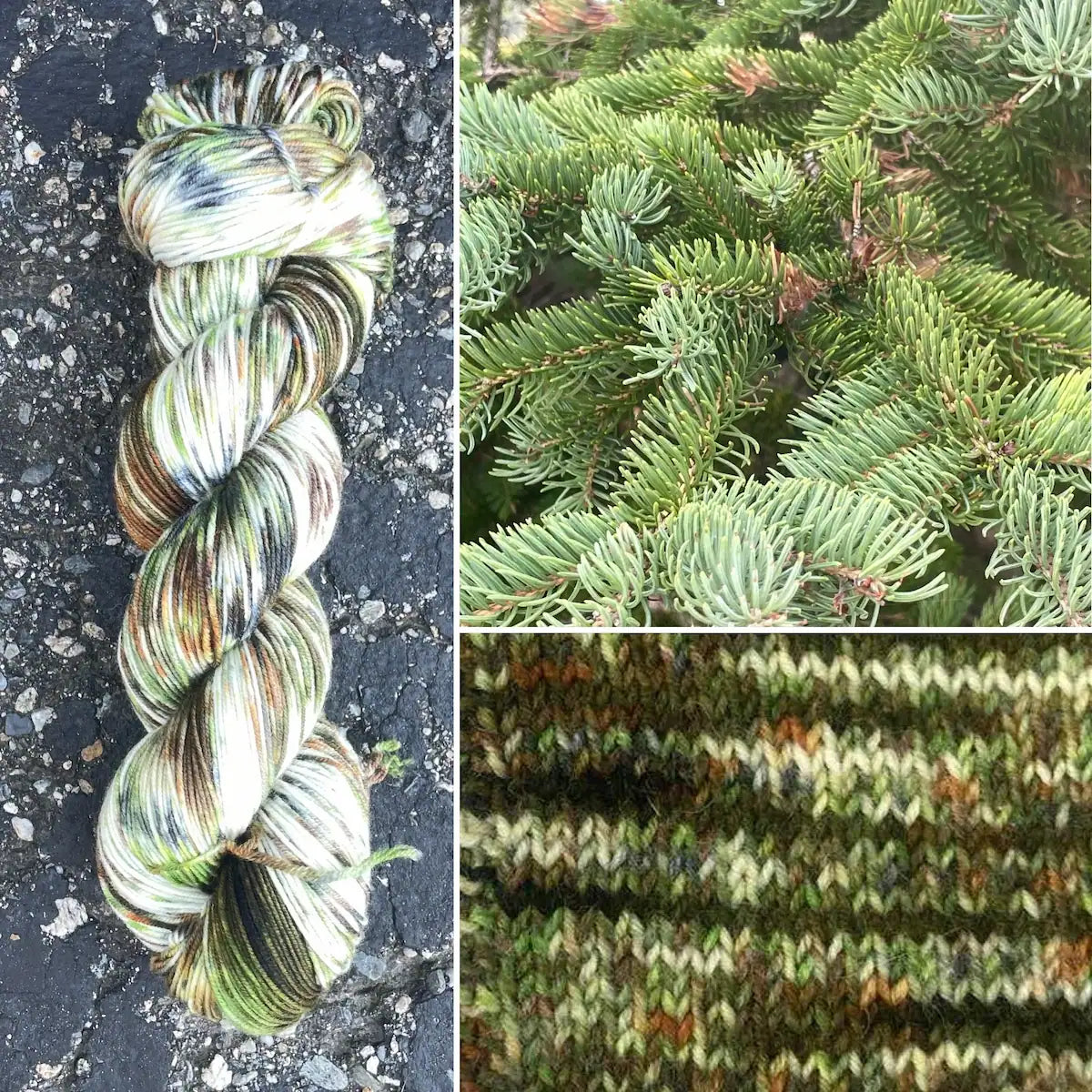 Spruce Tree - Merino/Nylon Alder Fingering Yarn
