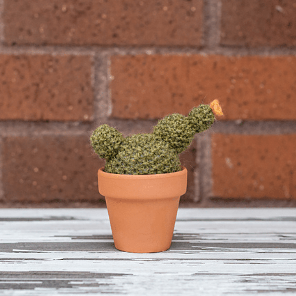 A Prickle of Cactus 2 Kit - Paradise Fibers