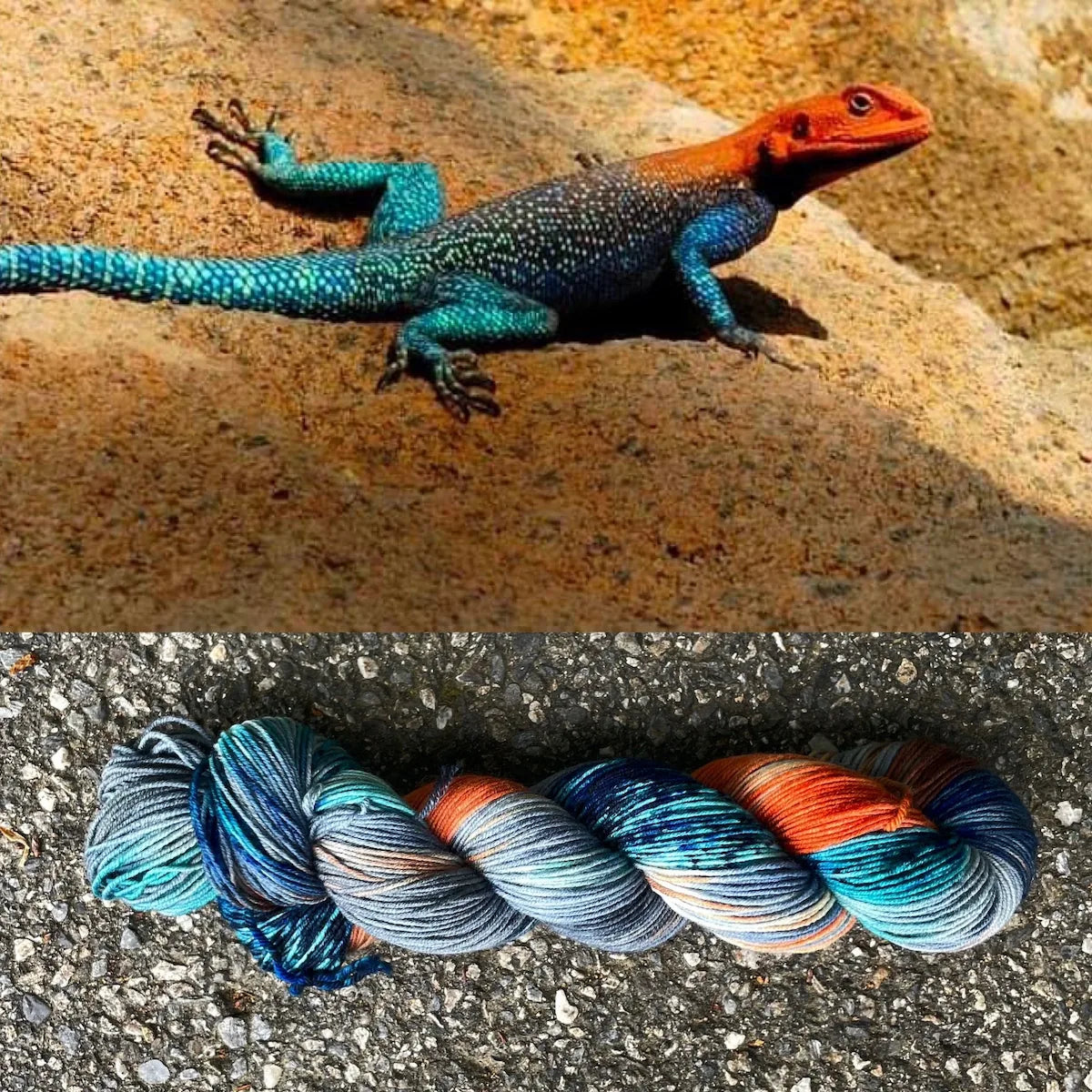 Agama Lizard - Superwash Merino Spruce Fingering Yarn