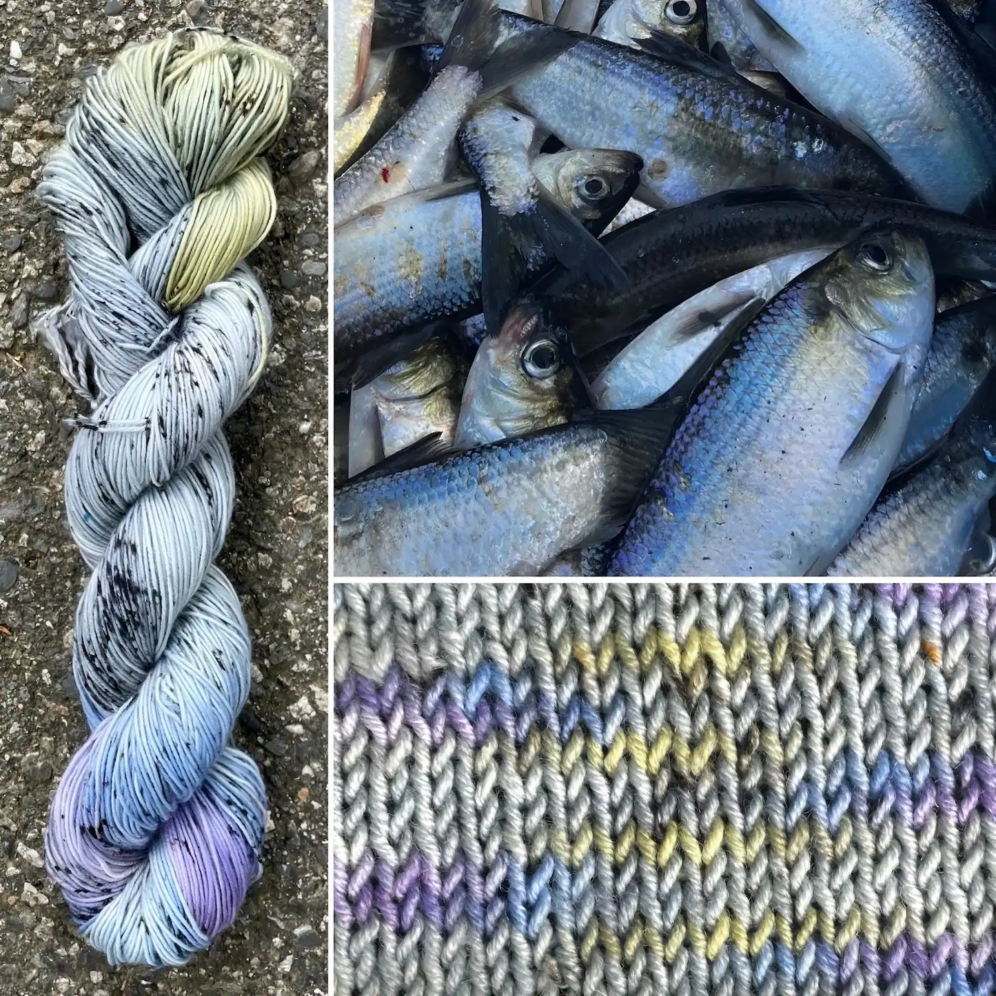 Alewife - Merino/Nylon Alder Fingering Yarn - Round Mountain Fibers