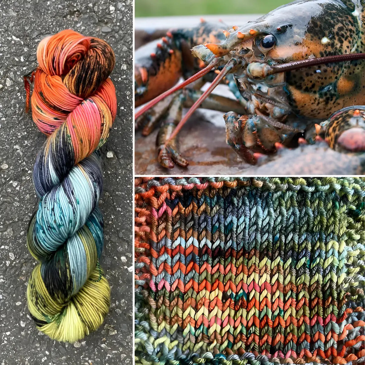 Atlantic Lobster - Superwash Merino Spruce Fingering Yarn