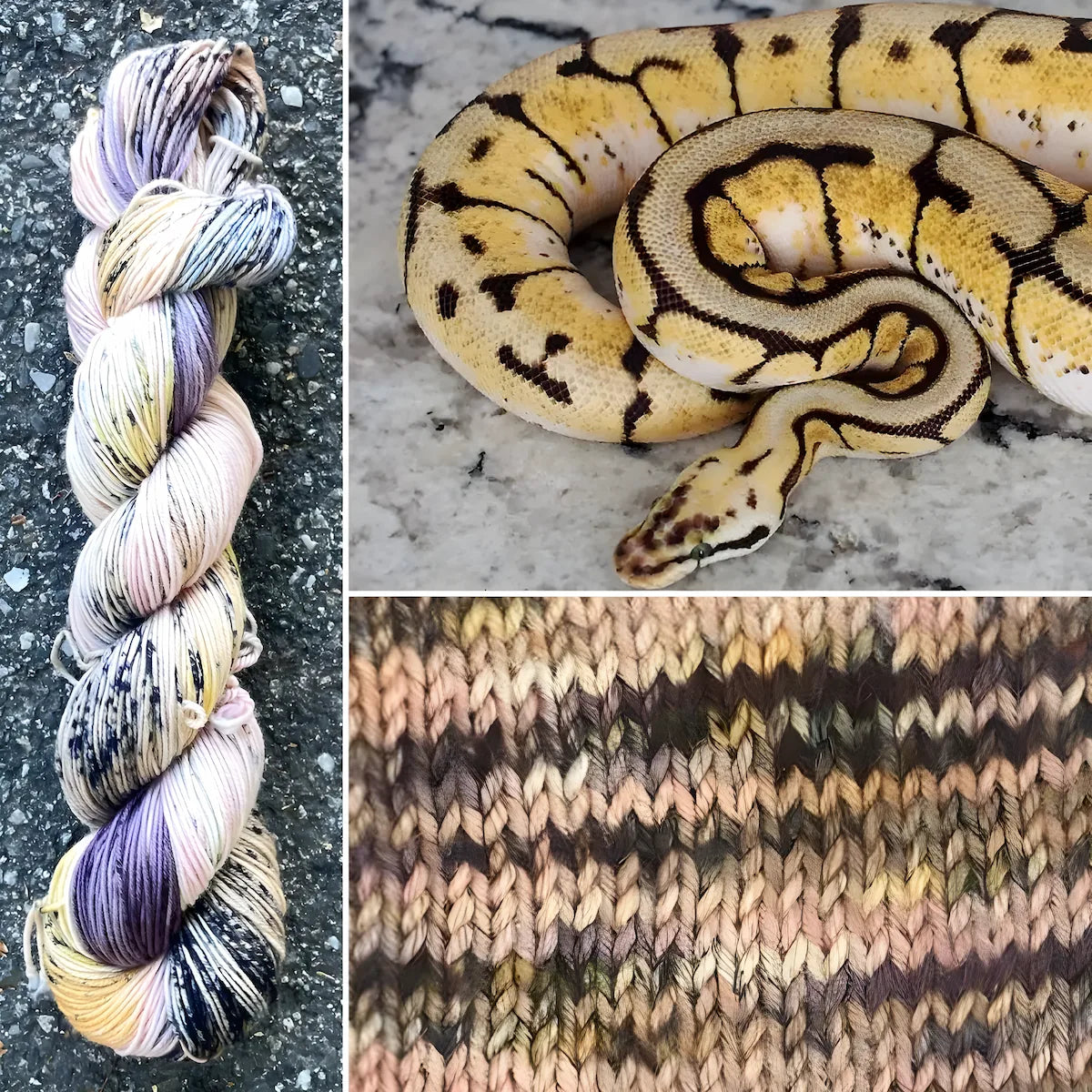 Ball Python - Merino/Nylon Alder Fingering Yarn