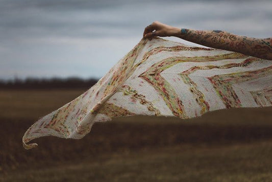 Birds of a Feather Pattern by Drea Renee Knits - Paradise Fibers