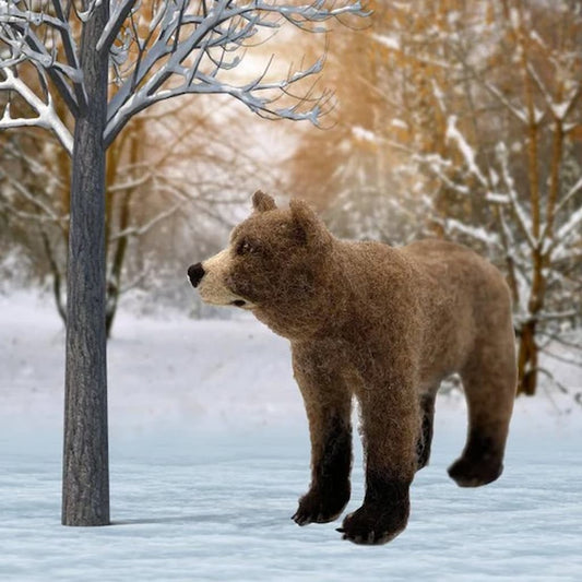 Bruno the Bear Needle Felting Kit - Paradise Fibers