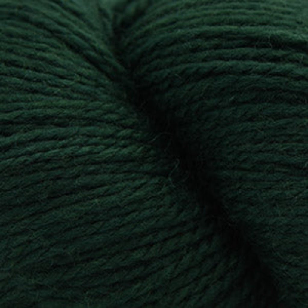 Cascade 220 Superwash Fingering - Paradise Fibers