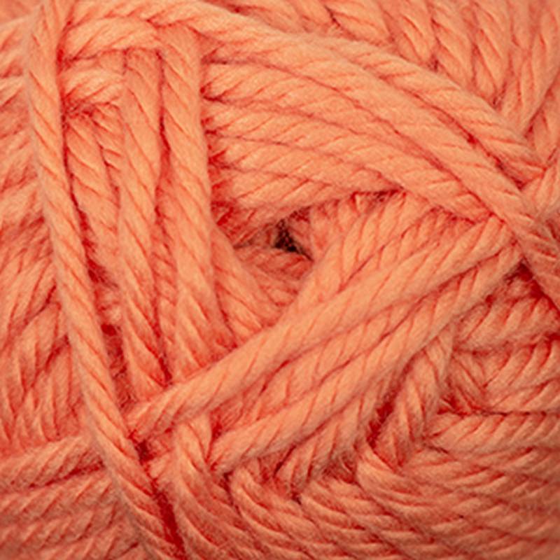 Cascade Cherub Bulky - Paradise Fibers