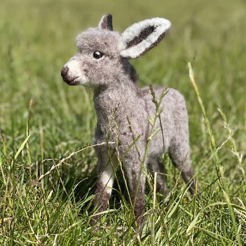 Diego the Donkey Needle Felting Kit - Paradise Fibers