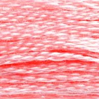 DMC Six Stand Embroidery Floss - Paradise Fibers