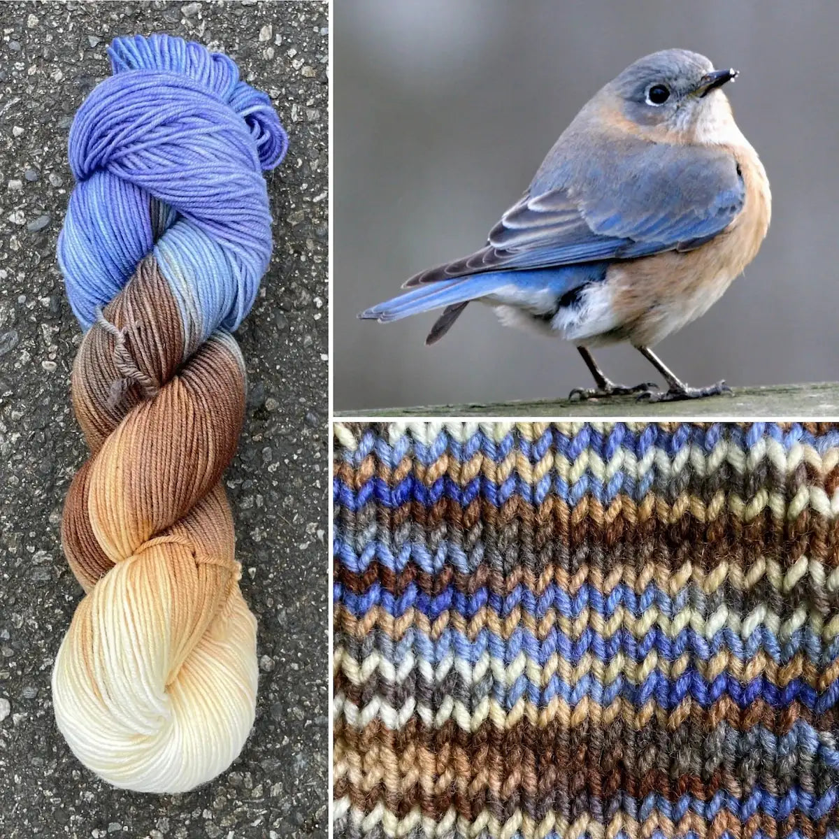 Eastern Bluebird - Superwash Merino Spruce Fingering Yarn