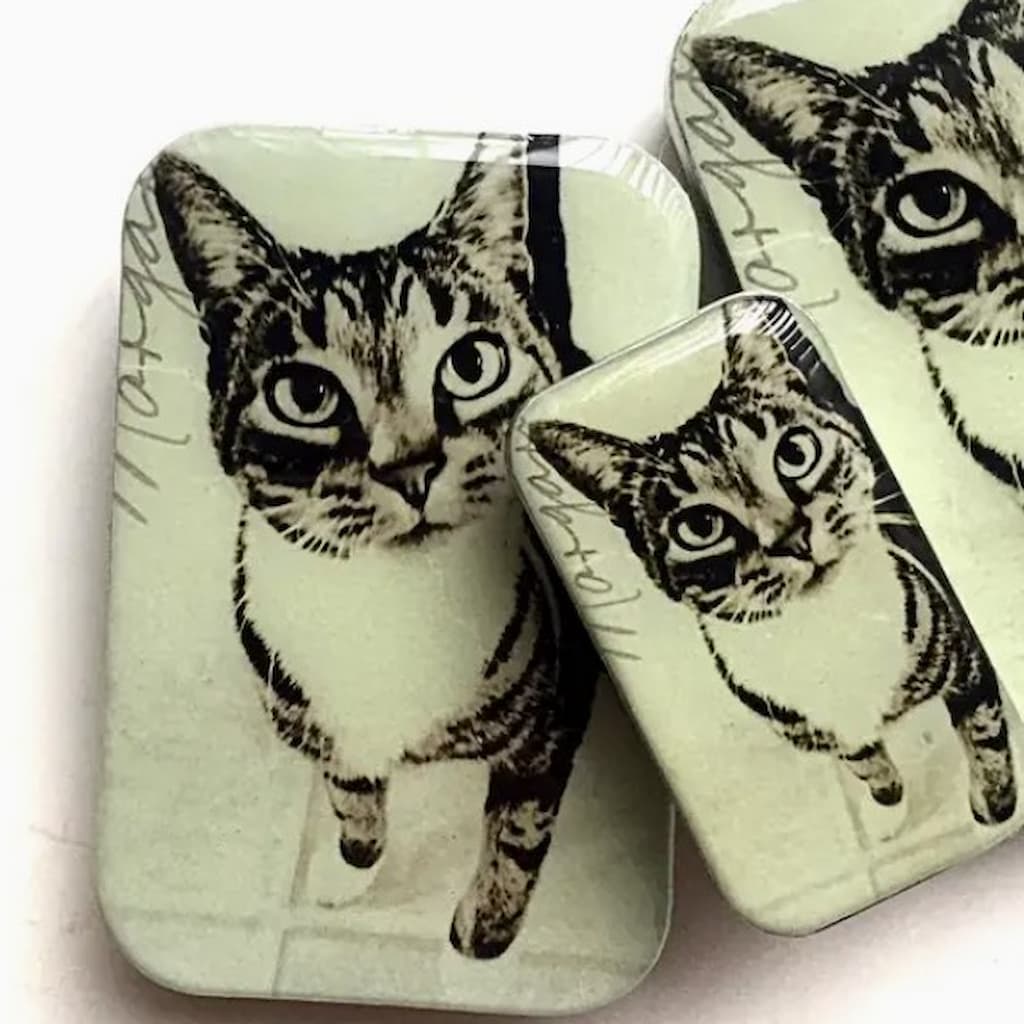 Firefly Notes | Cat Notions Tins - Paradise Fibers