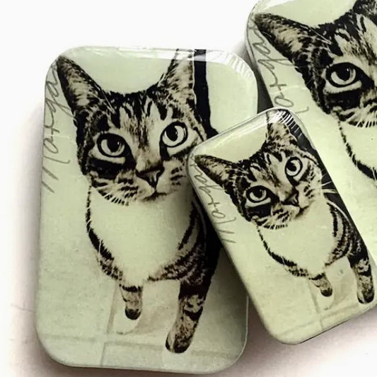 Firefly Notes | Cat Notions Tins - Paradise Fibers