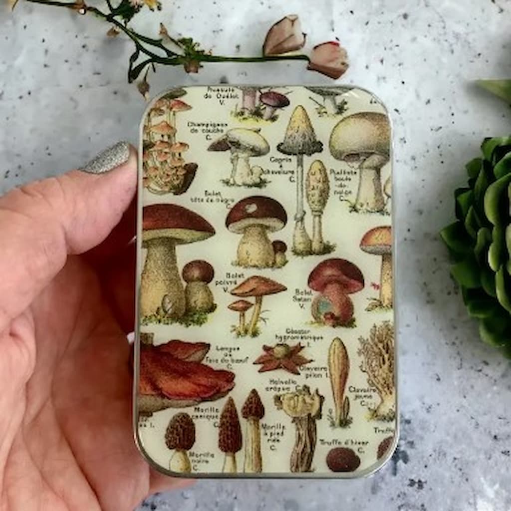 Firefly Notes | Mushroom Notions Tins - Paradise Fibers