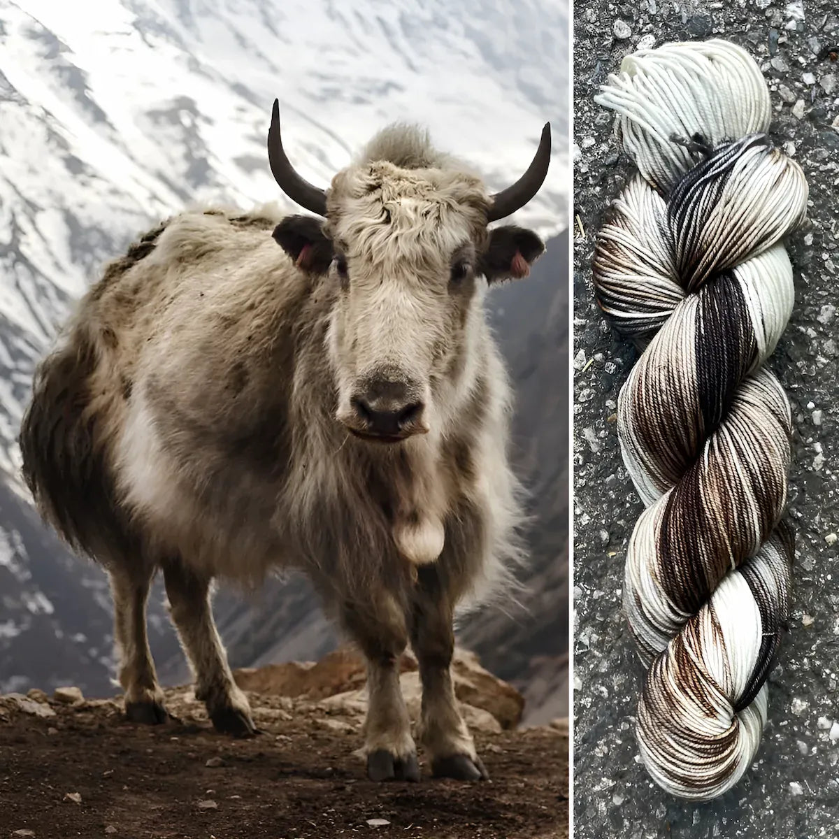 Himalayan Yak - Superwash Merino Spruce Fingering Yarn