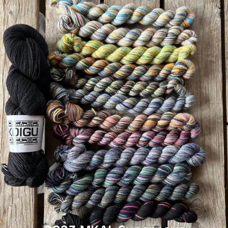 Koigu | Supernova Shawl Yarn Bundle - Paradise Fibers