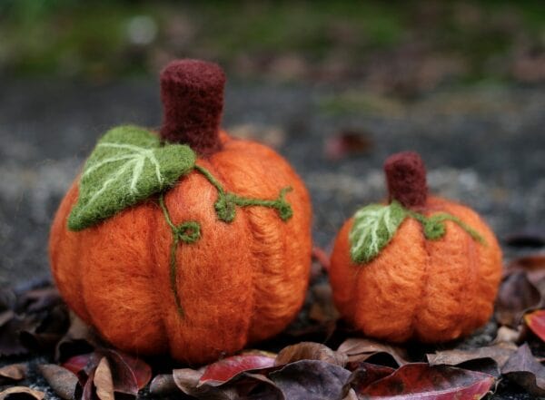 Kromski Needle Felting Kit - Pumpkin - Paradise Fibers