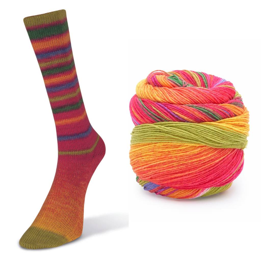 LAINES DU NORD Infinity Sock - Paradise Fibers