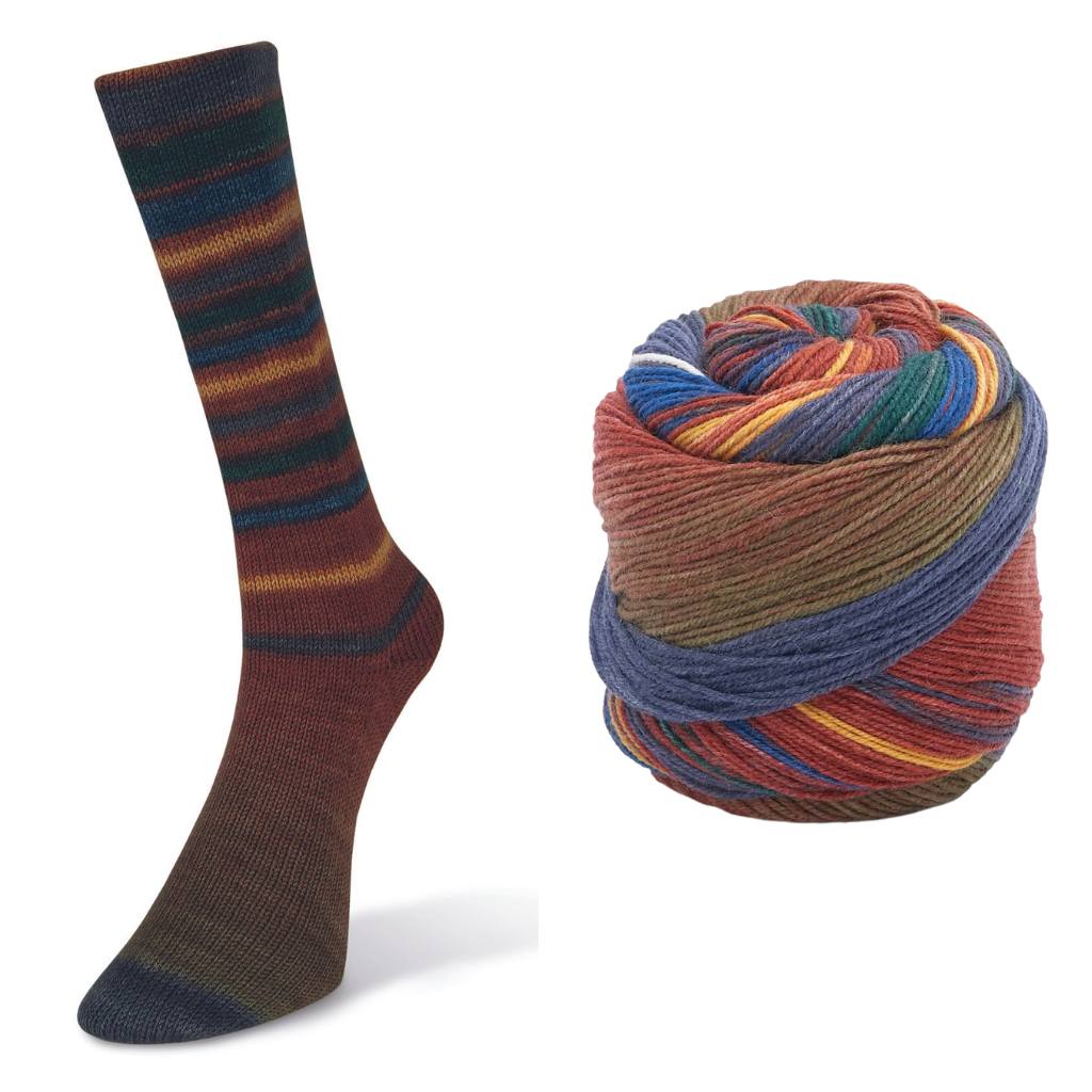 LAINES DU NORD Infinity Sock - Paradise Fibers