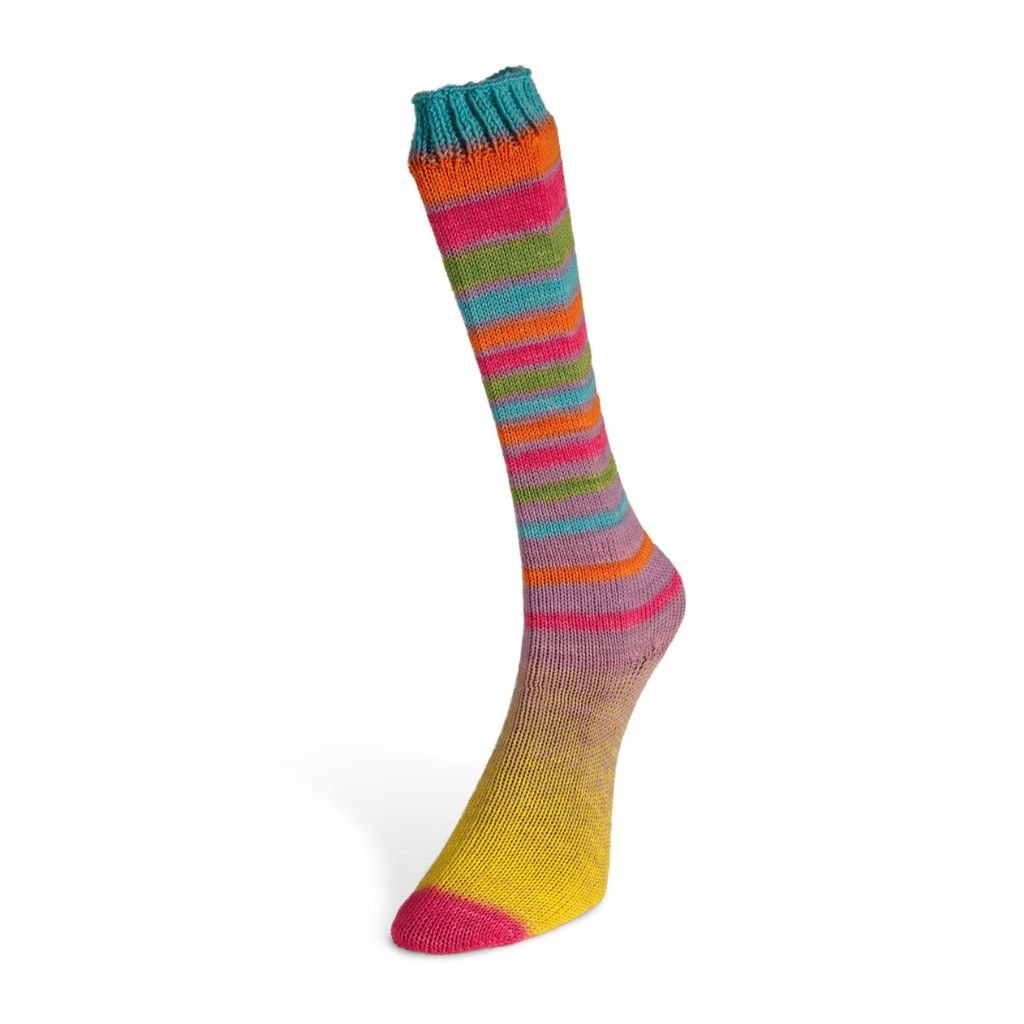 LAINES DU NORD Infinity Sock - Paradise Fibers