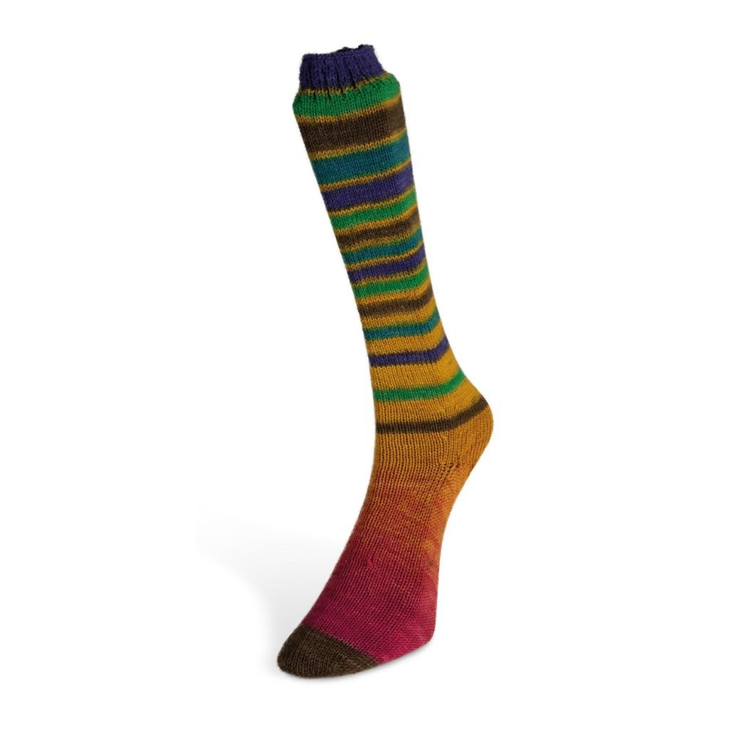LAINES DU NORD Infinity Sock - Paradise Fibers