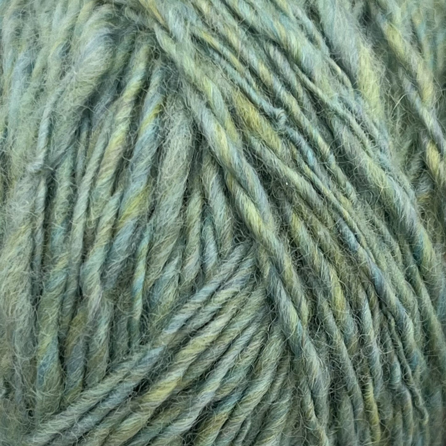Luna Moth - Extrafine Multi-Colored Merino Top
