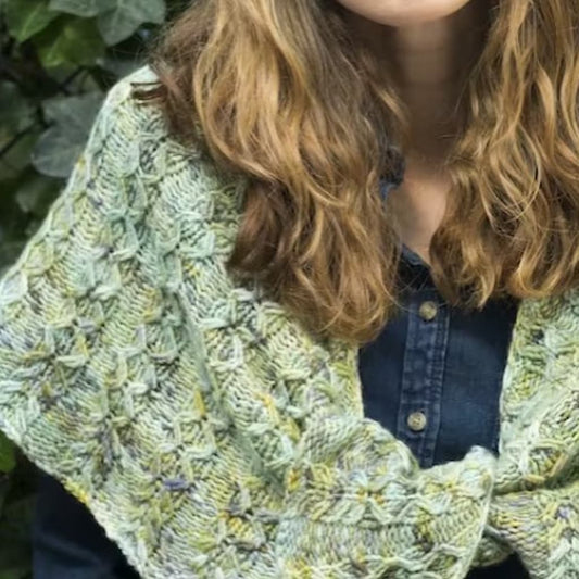 Malabrigo Pattern Book 13 - Shawl Road - Paradise Fibers