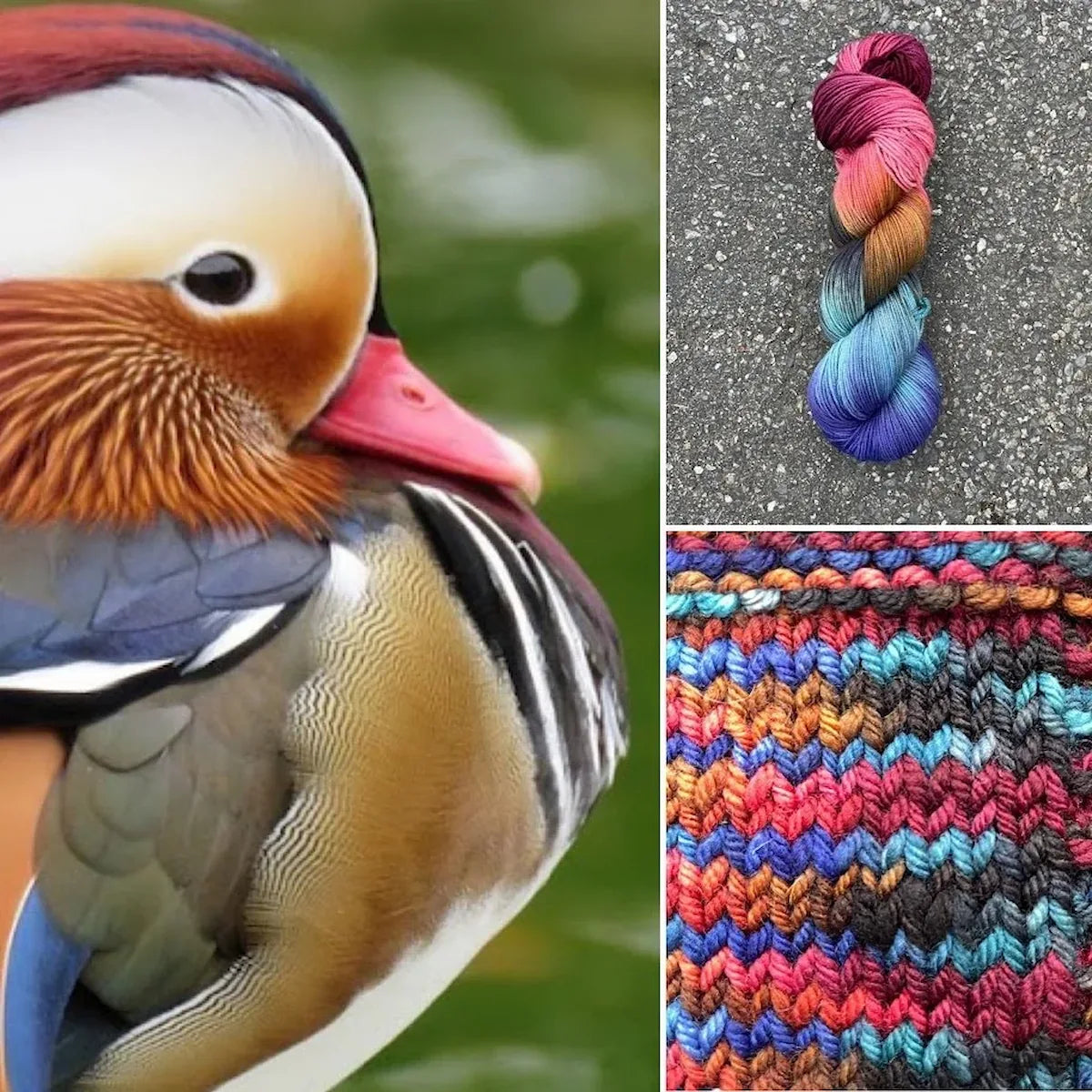 Mandarin Duck - Superwash Merino Spruce Fingering Yarn