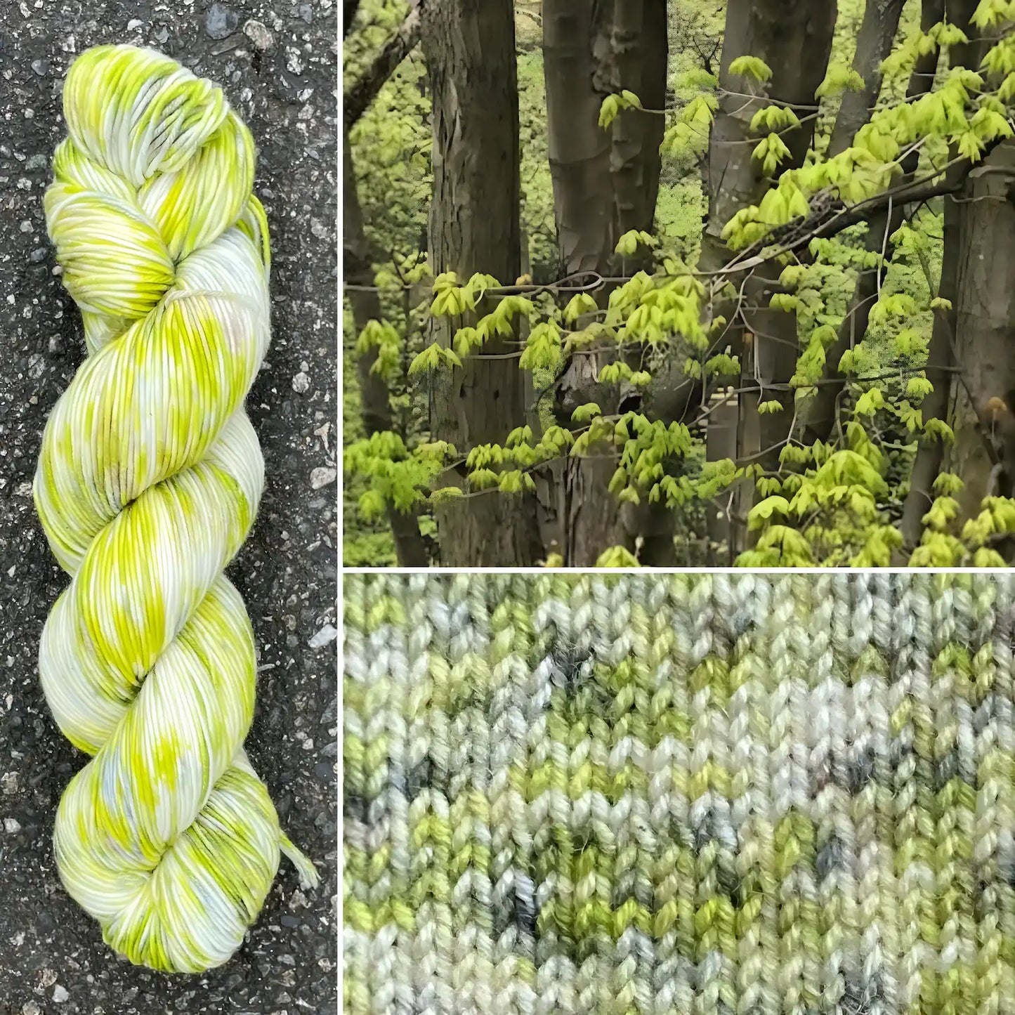 Maples In The Spring - Merino/Nylon Alder Fingering Yarn - Round Mountain Fibers