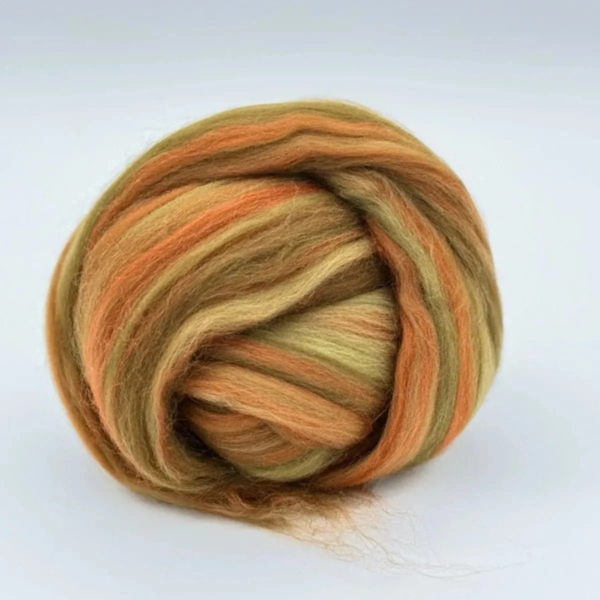 Paradise Fibers Multi - Colored Merino Wool Top - Sequoia - Paradise Fibers