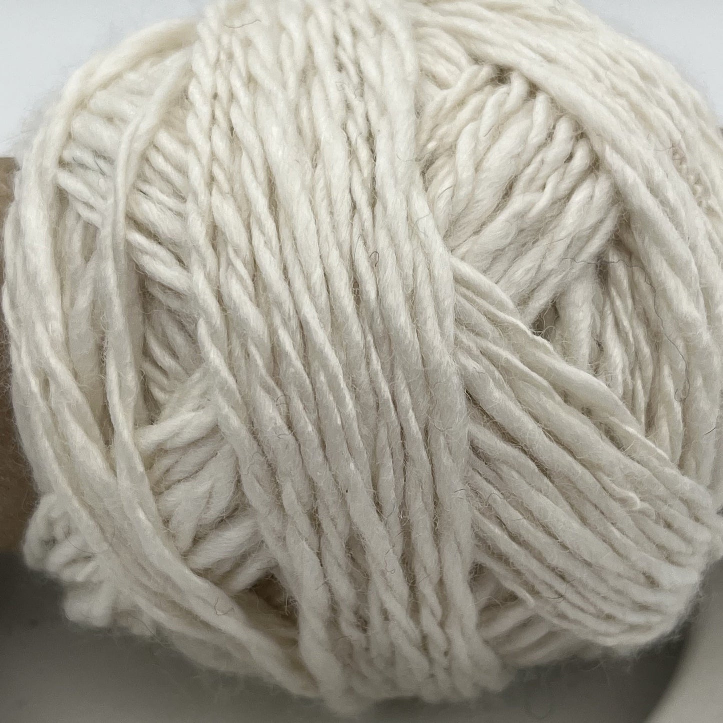 Paradise Fibers Pearly Polwarth - 50/50 Precious Pearl Infused Cellulose and Polwarth Top Micro Blend