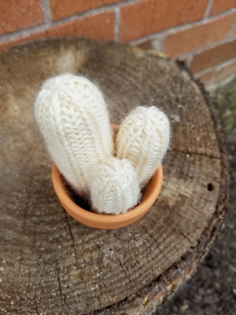 A Prickle of Cactus 2 Kit