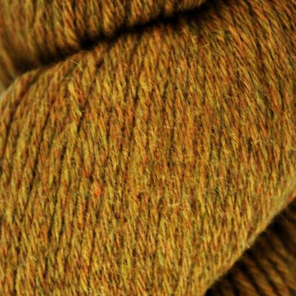 Queensland Tenderfoot Yarn - Paradise Fibers