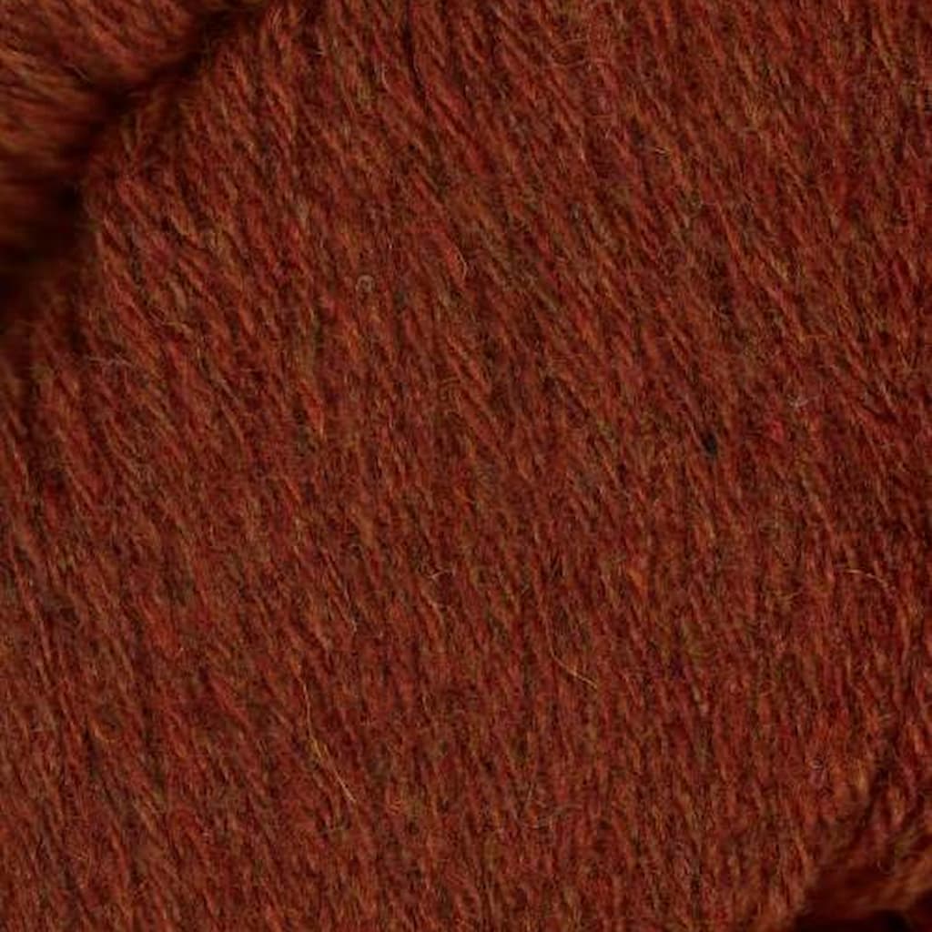 Queensland Tenderfoot Yarn - Paradise Fibers
