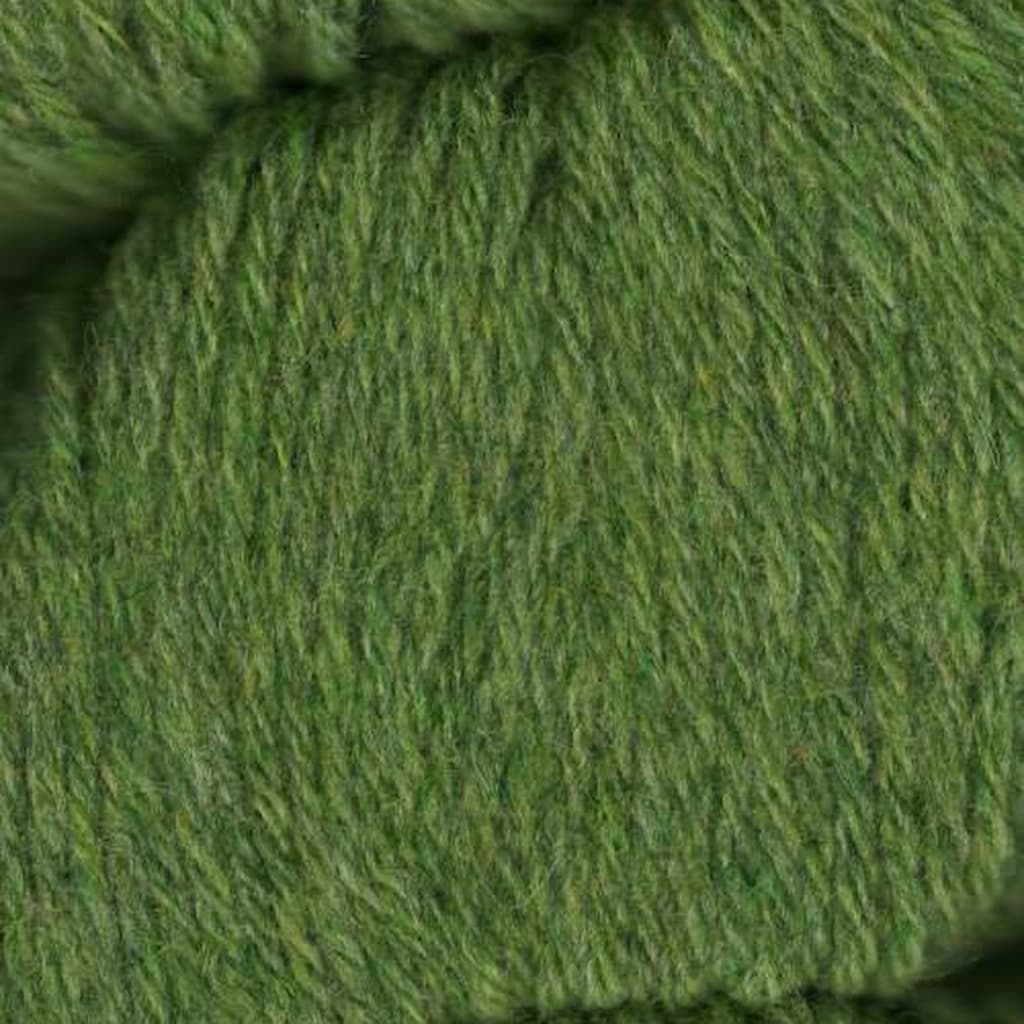 Queensland Tenderfoot Yarn - Paradise Fibers