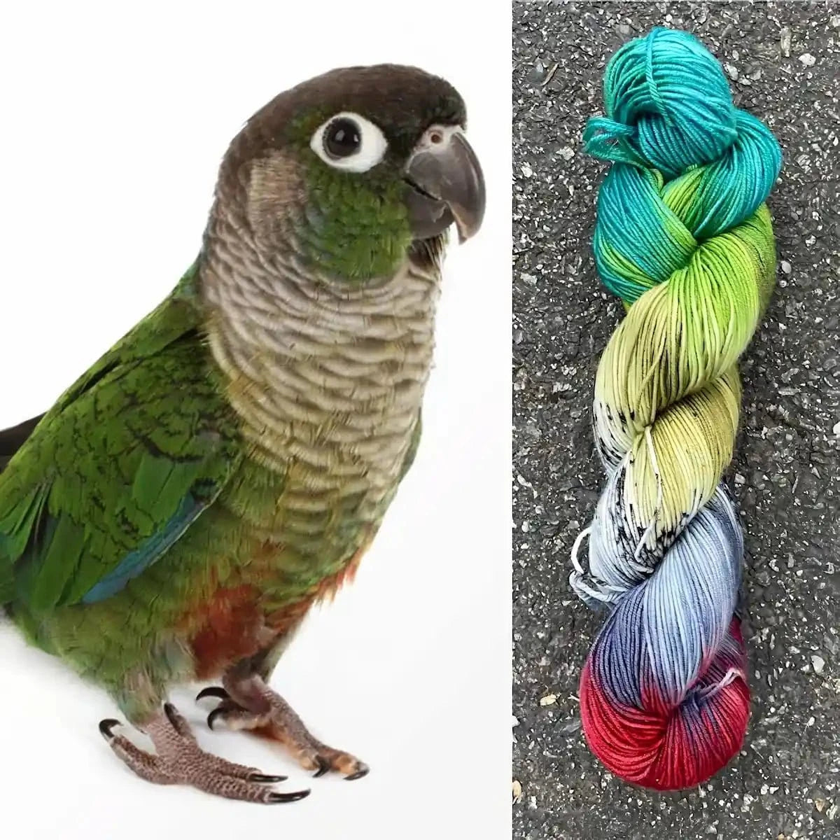 Conure - Merino/Nylon Alder Fingering Yarn