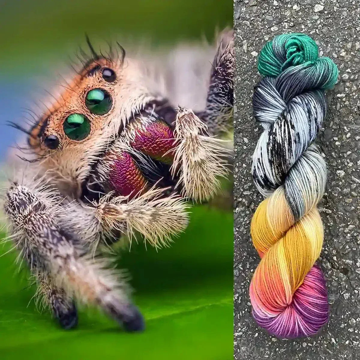 Jumping Spider - Superwash Merino Spruce Fingering Yarn