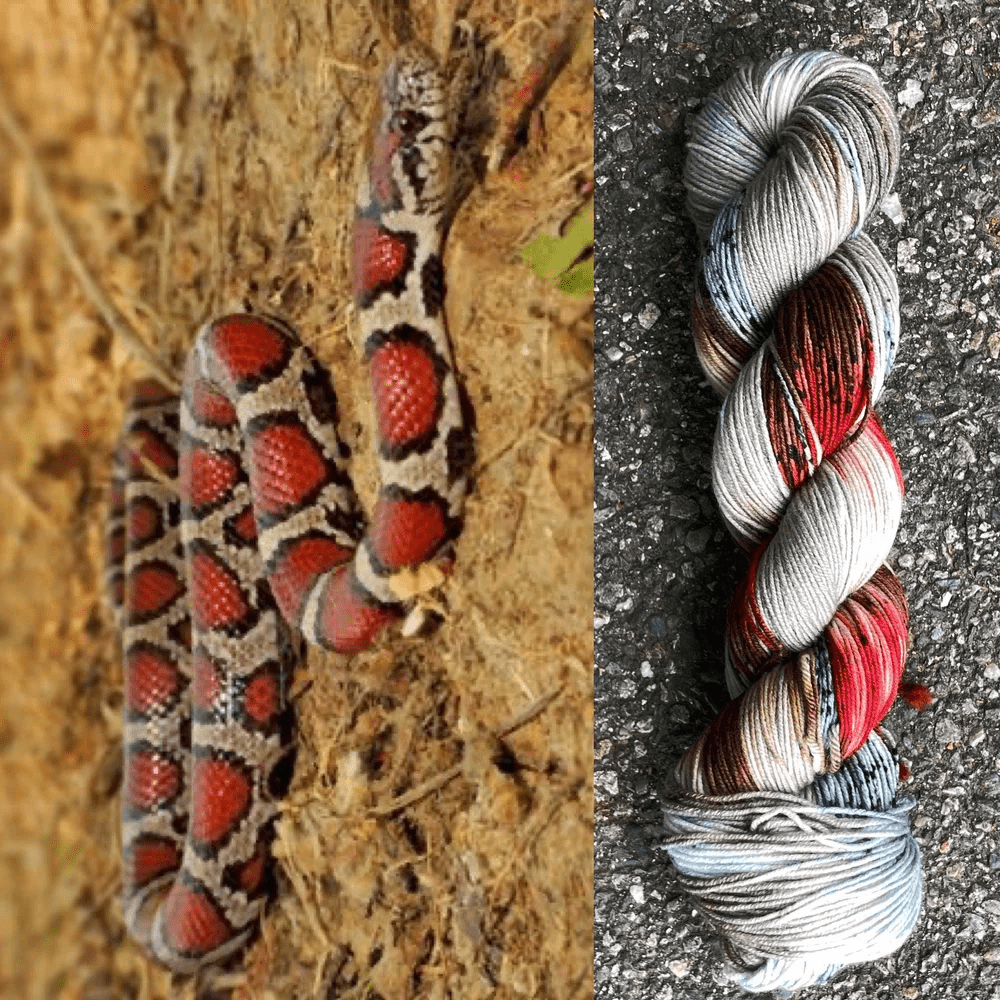 Round Mountain Fibers | Willow Worsted Colorways - Paradise Fibers