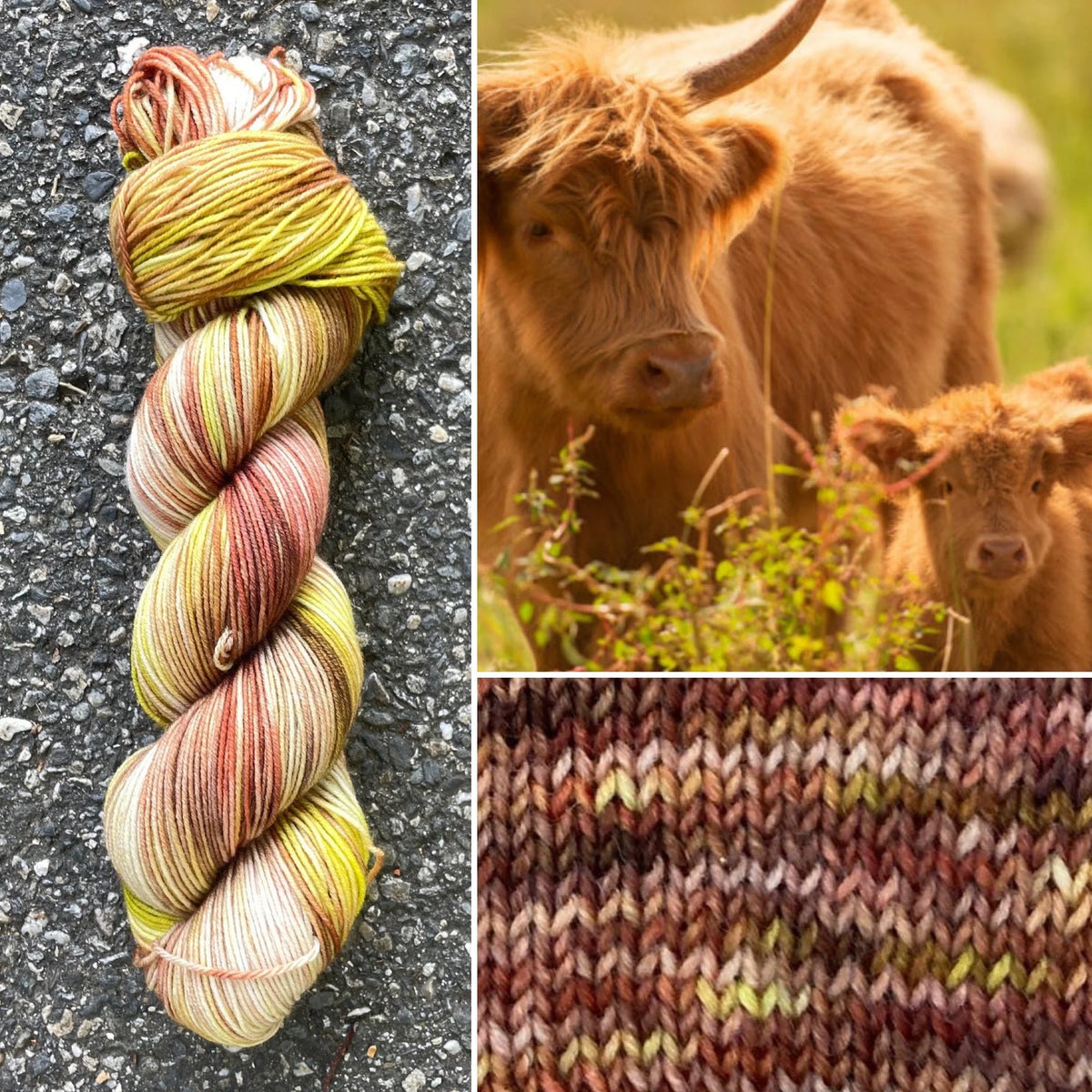 Scottish Highland Cow colorway skein, Round Mountain Fibers Alder Fingering yarn