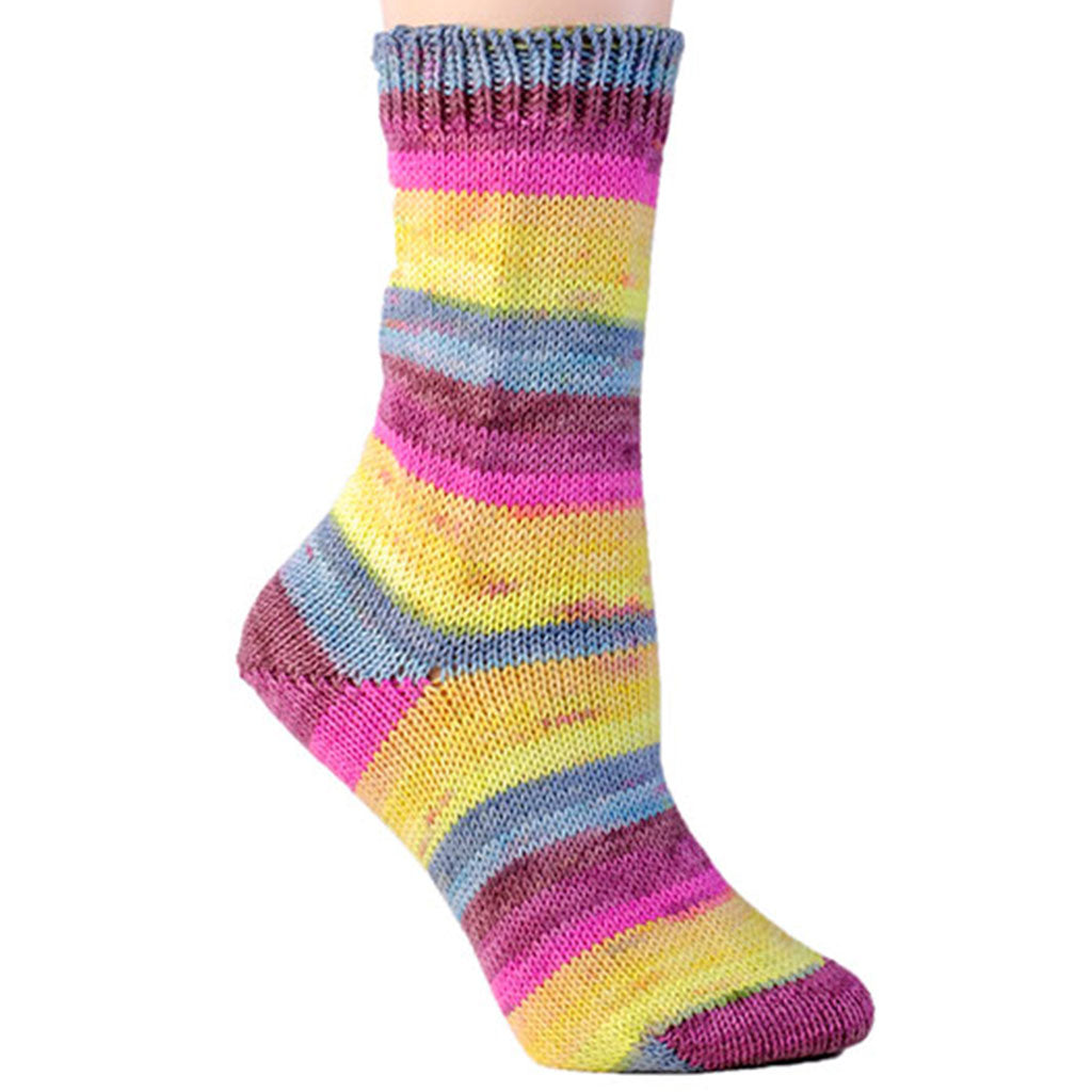 Color Wakatipu 1828. A self patterning skein of Berroco Comfort wool-free sock yarn.