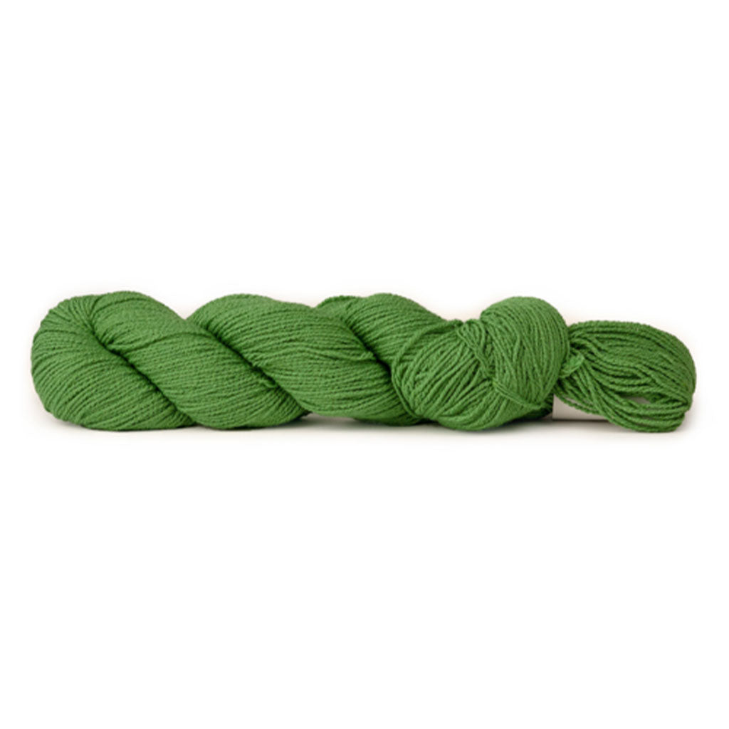 CoBaSi in the color Blarney 102, a warm green colorway.