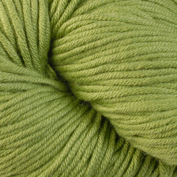 Elms 1659, a kiwi green skein of Berroco's worsted weight Modern Cotton.