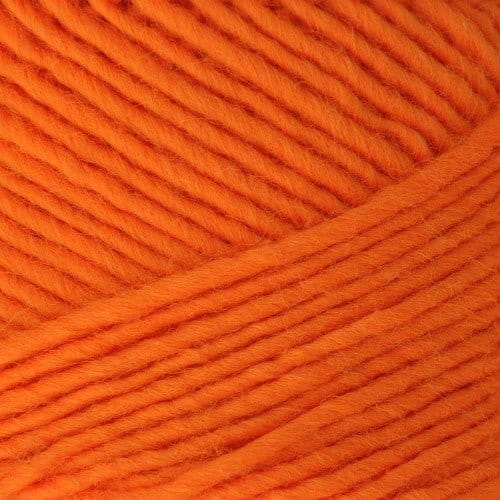 Brown Sheep Lamb's Pride Bulky Neon - Paradise Fibers