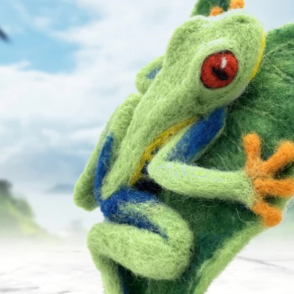 Fonzo the Frog Needle Felting Kit - Paradise Fibers