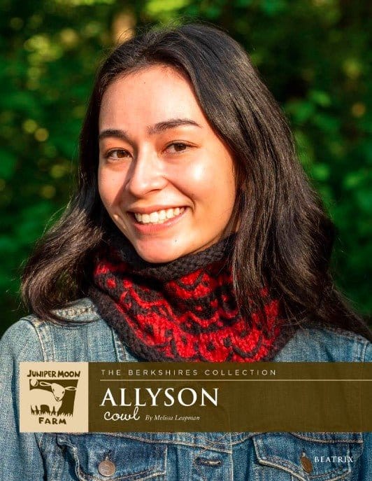 Juniper Moon Allyson Cowl Pattern - Paradise Fibers