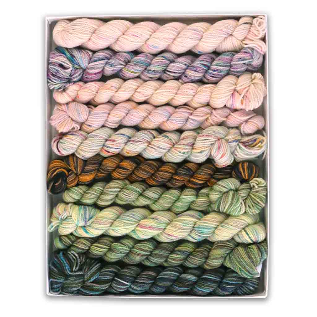 Koigu Pencil Box Yarn Pack - Paradise Fibers