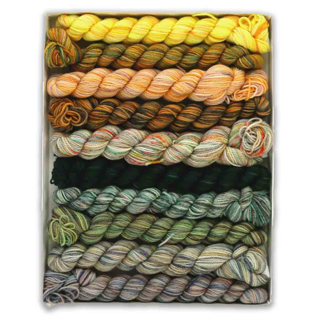 Koigu Pencil Box Yarn Pack - Paradise Fibers