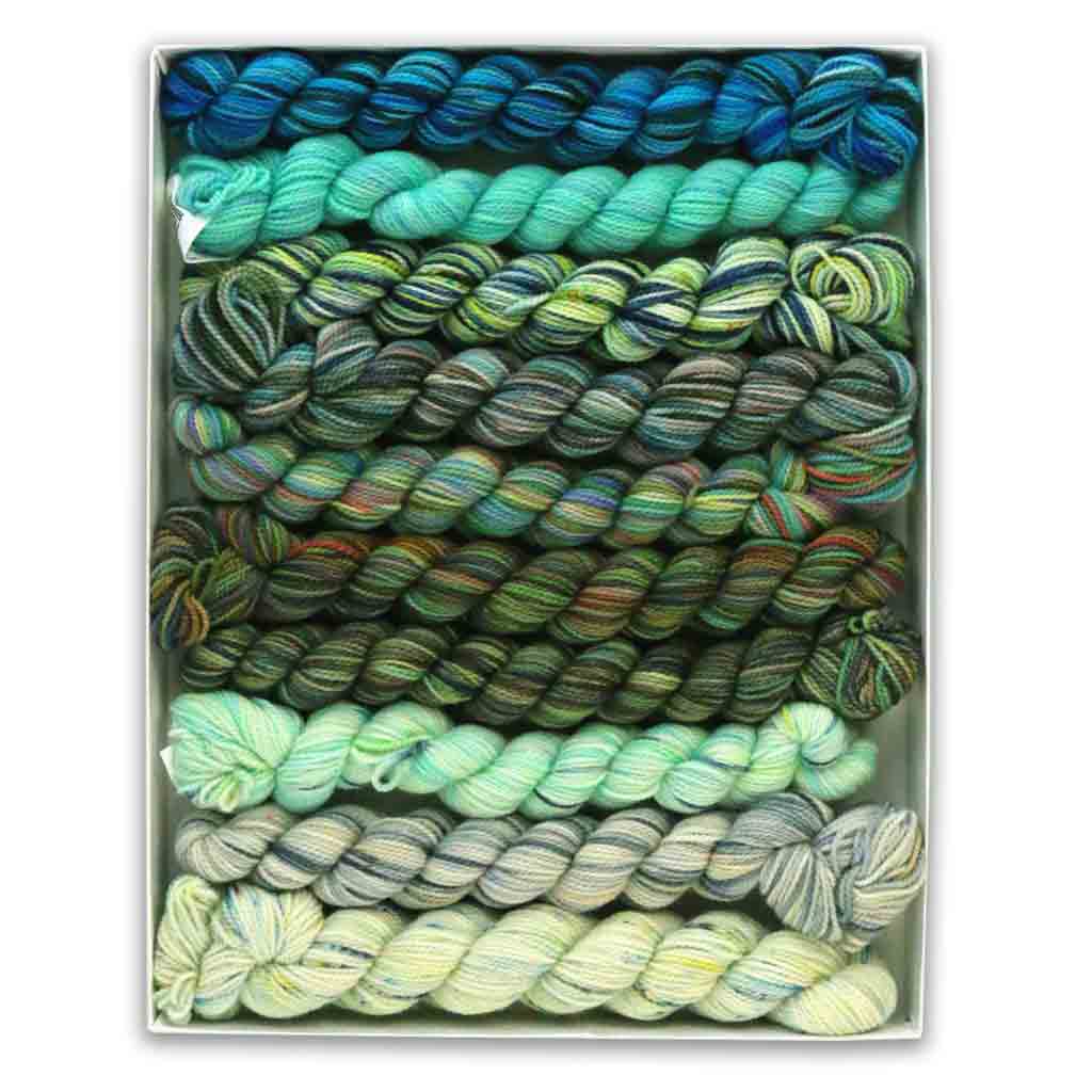 Koigu Pencil Box Yarn Pack - Paradise Fibers
