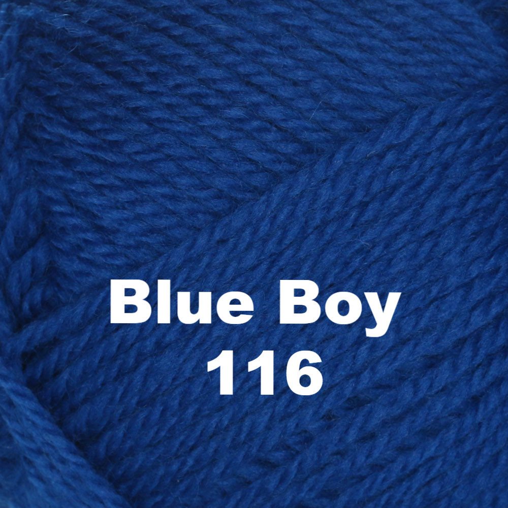 Brown Sheep Nature Spun Worsted Yarn-Yarn-Blue Boy 116-