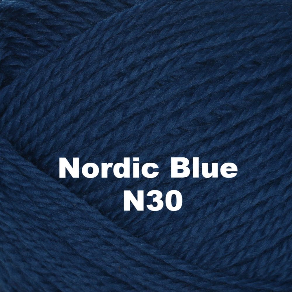 Brown Sheep Nature Spun Worsted Yarn-Yarn-Nordic Blue N30-