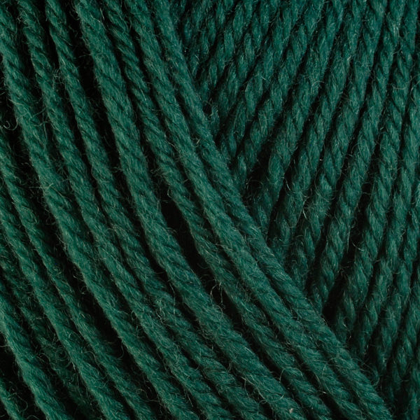 Arbor 3340, a dark forest green skein of washable worsted weight Ultra Wool yarn.
